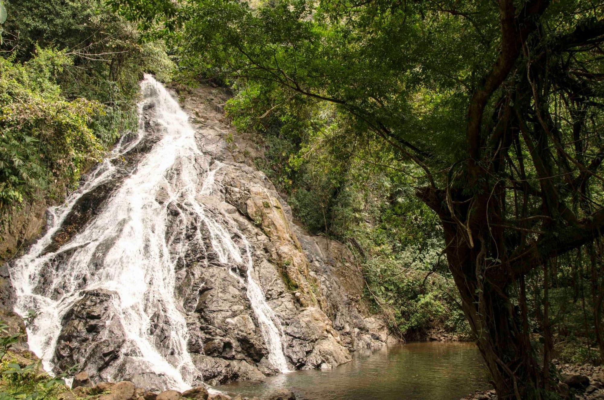 Jardin Botanico Del Pacifico Y Mecana Ecohotel Bahia Solano Buitenkant foto