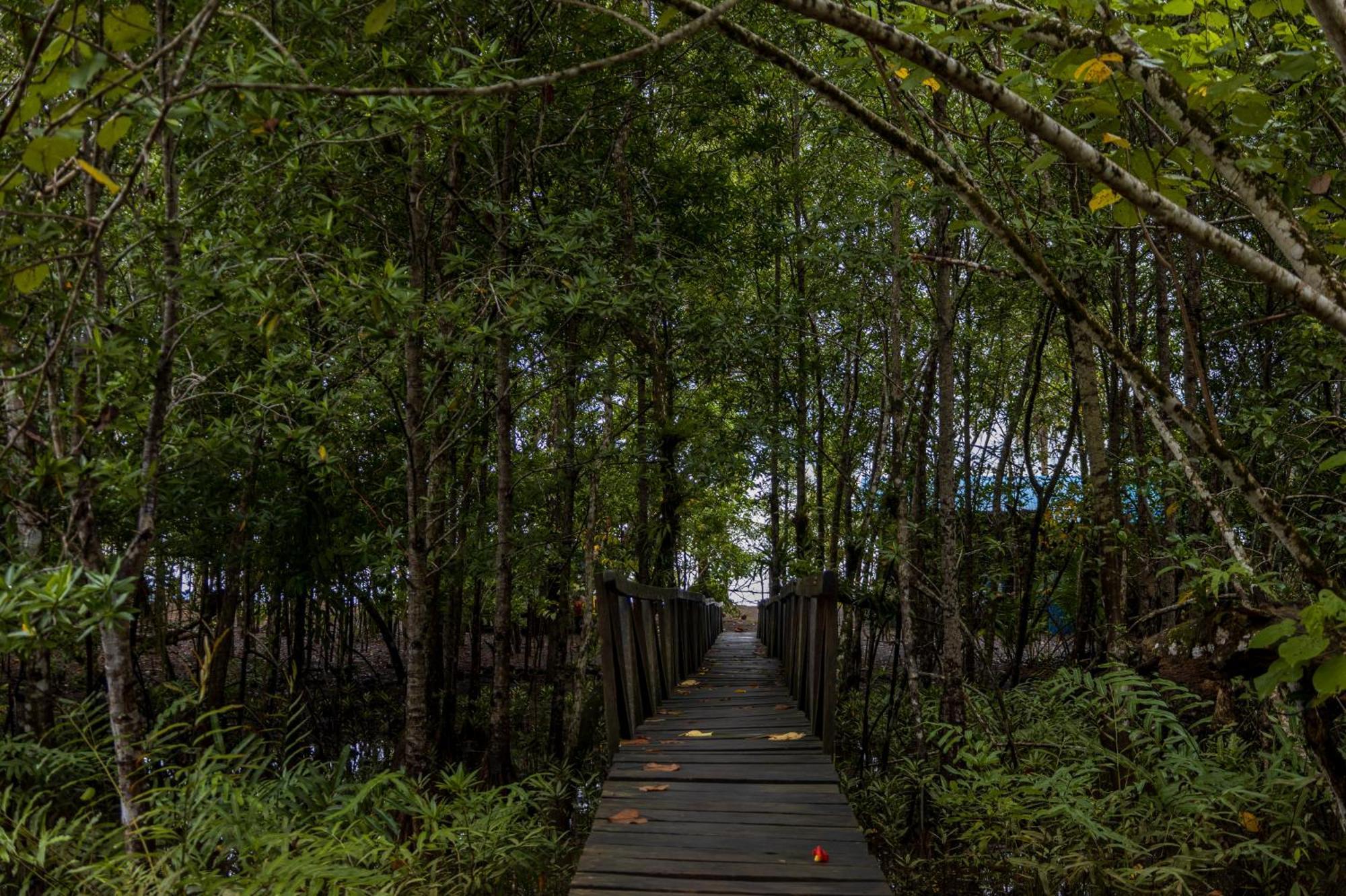 Jardin Botanico Del Pacifico Y Mecana Ecohotel Bahia Solano Buitenkant foto