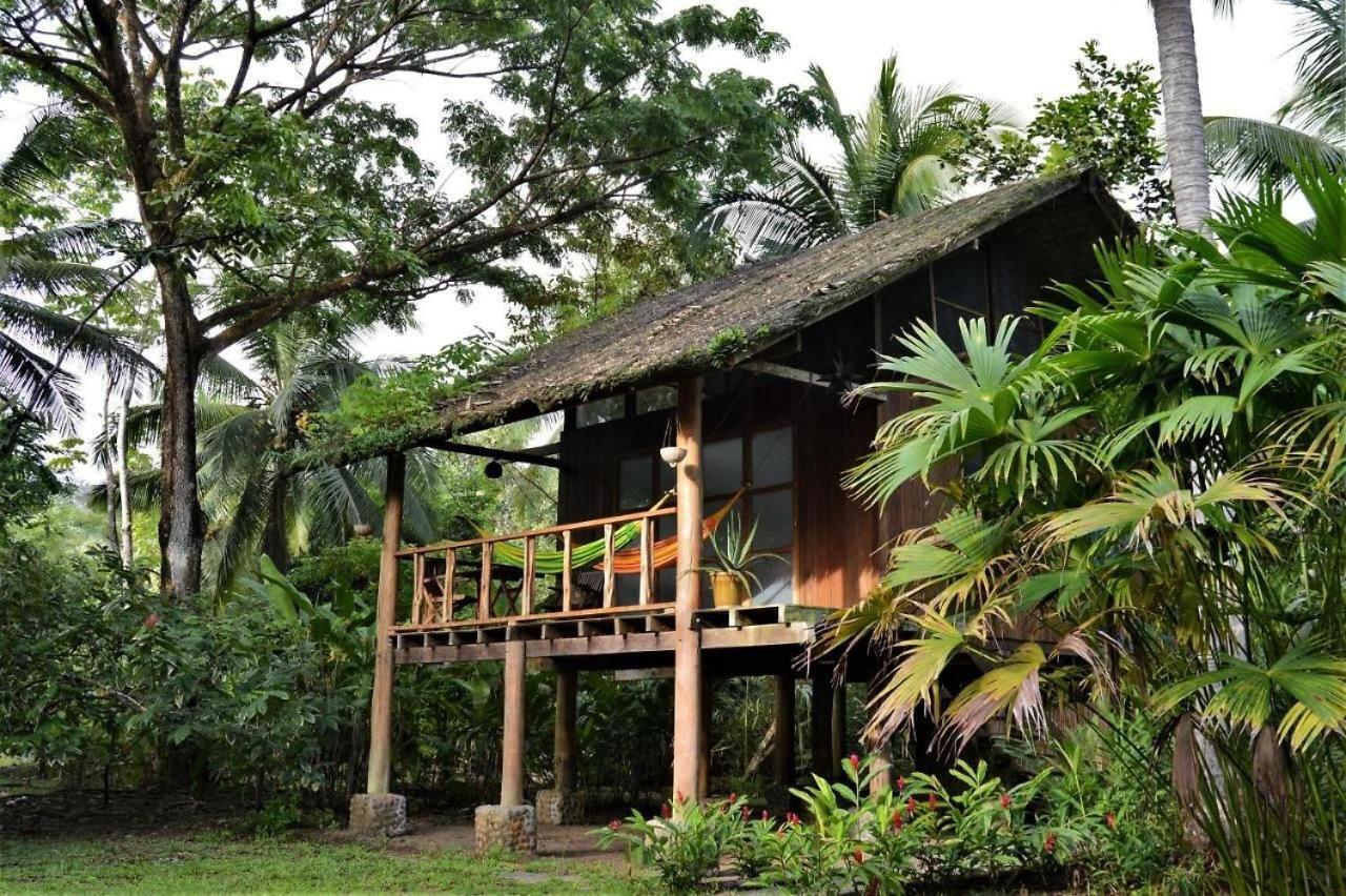 Jardin Botanico Del Pacifico Y Mecana Ecohotel Bahia Solano Buitenkant foto