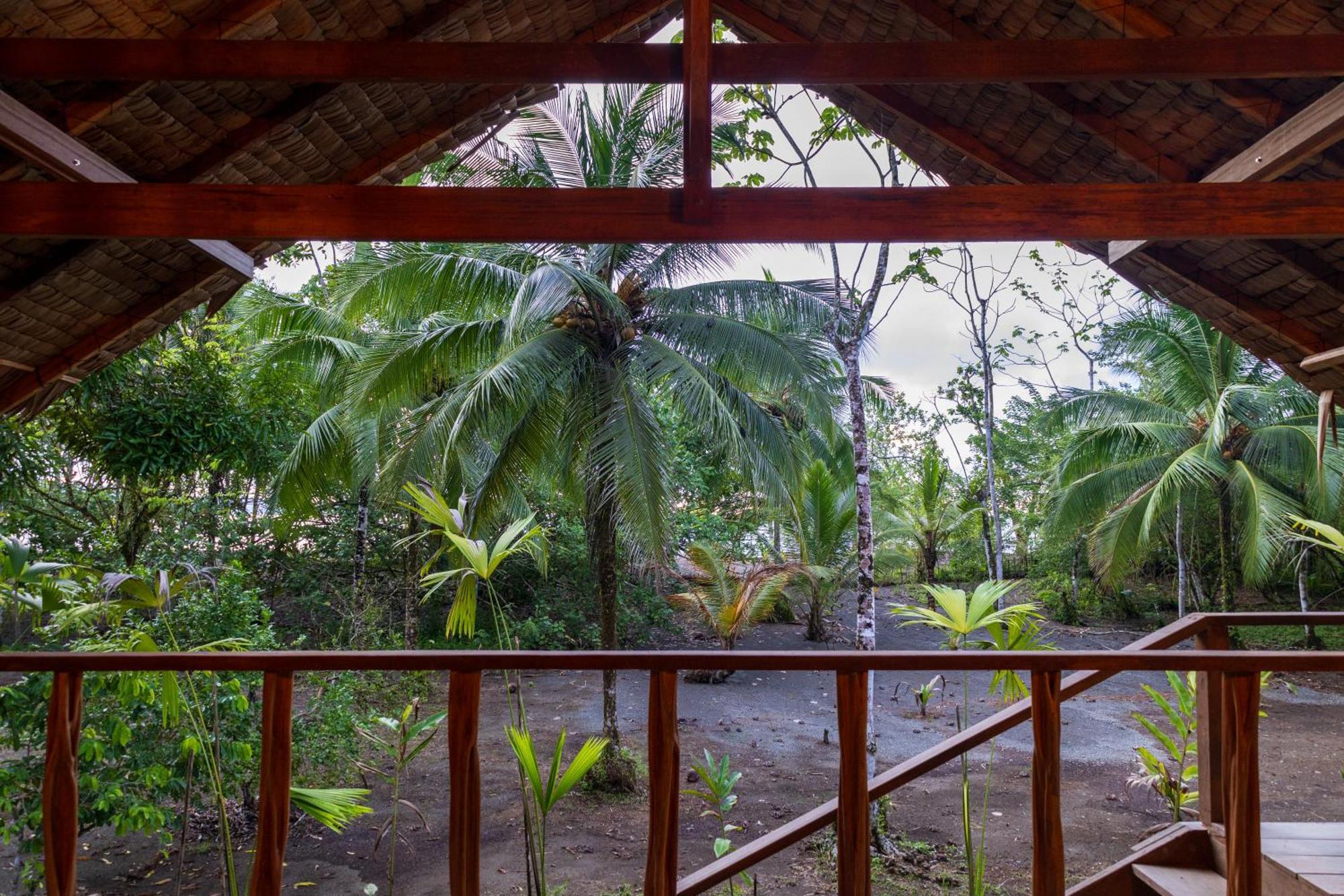 Jardin Botanico Del Pacifico Y Mecana Ecohotel Bahia Solano Buitenkant foto