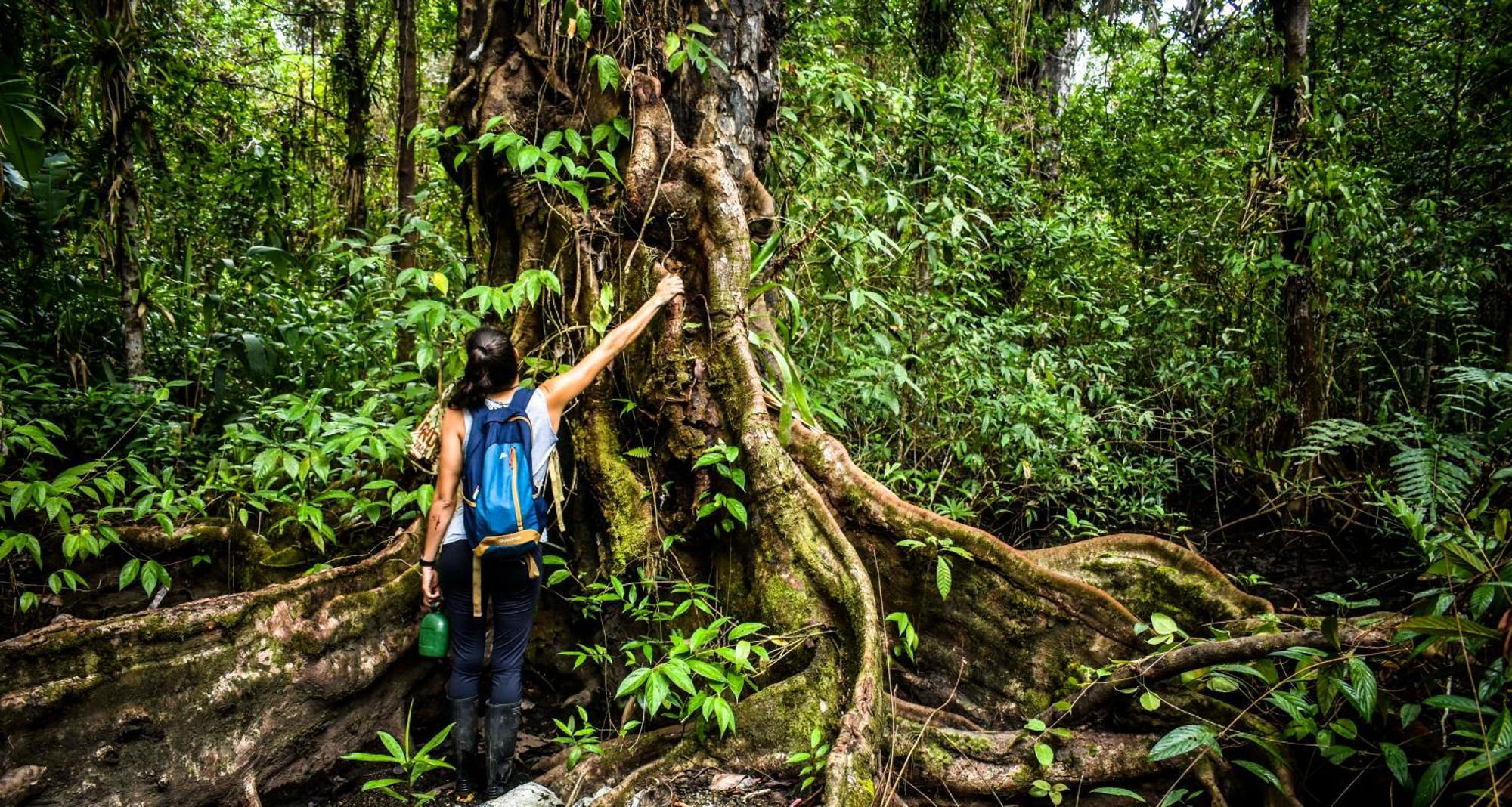 Jardin Botanico Del Pacifico Y Mecana Ecohotel Bahia Solano Buitenkant foto