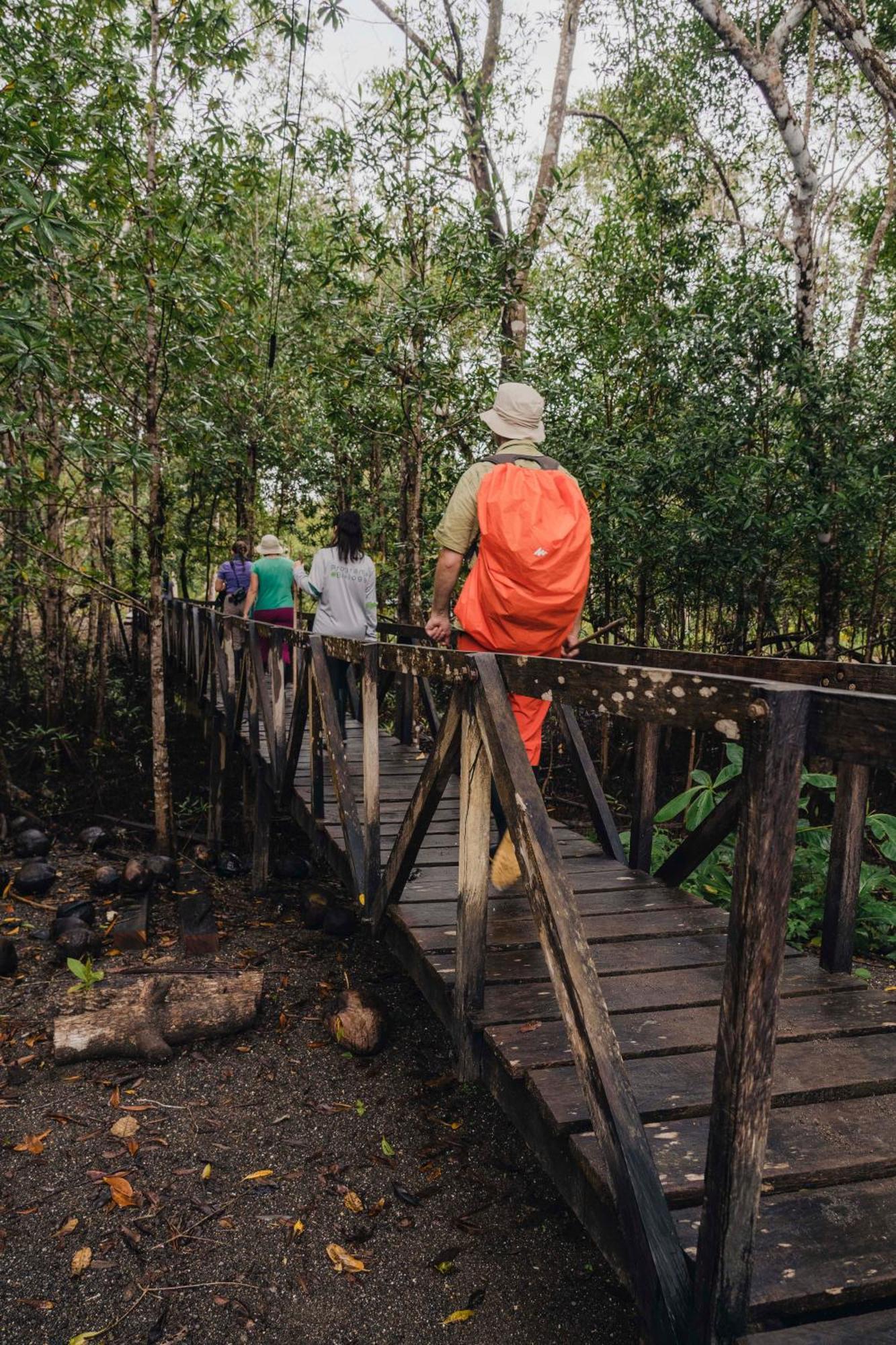 Jardin Botanico Del Pacifico Y Mecana Ecohotel Bahia Solano Buitenkant foto