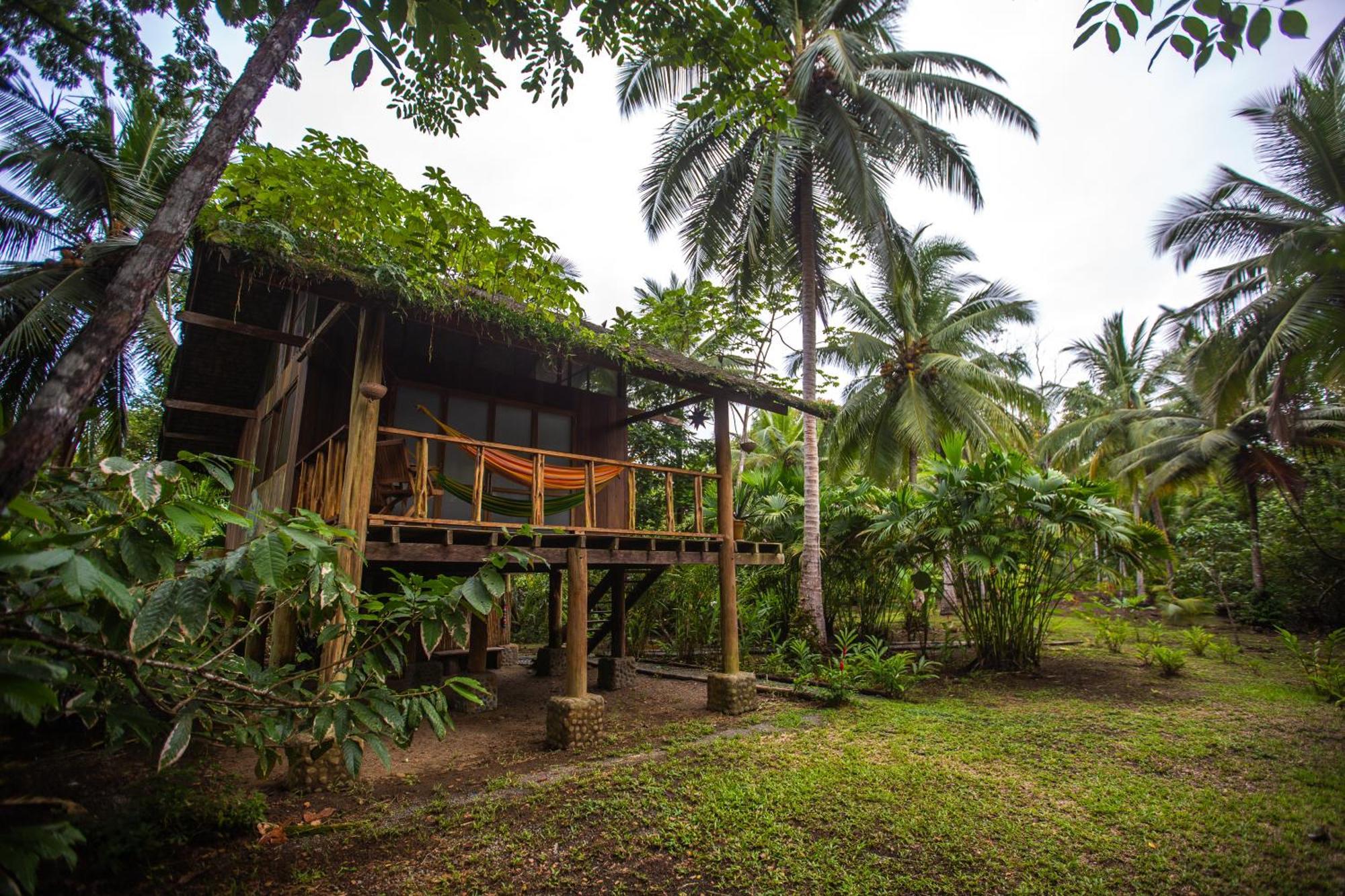 Jardin Botanico Del Pacifico Y Mecana Ecohotel Bahia Solano Buitenkant foto