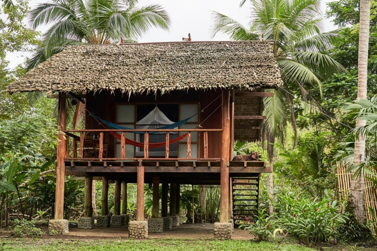 Jardin Botanico Del Pacifico Y Mecana Ecohotel Bahia Solano Buitenkant foto