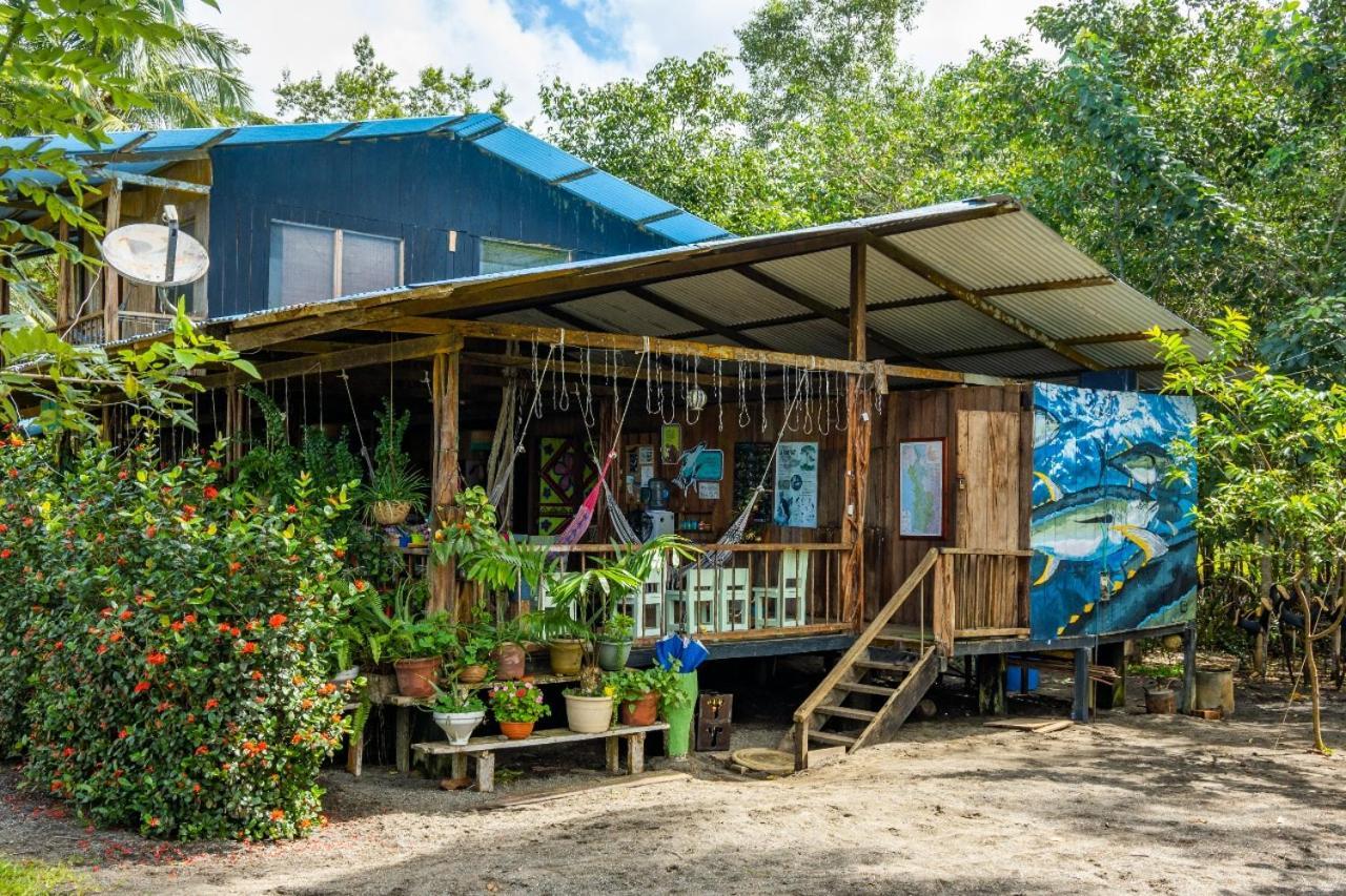 Jardin Botanico Del Pacifico Y Mecana Ecohotel Bahia Solano Buitenkant foto