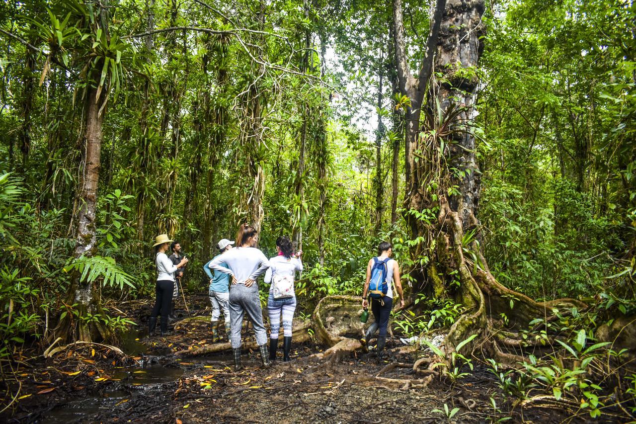 Jardin Botanico Del Pacifico Y Mecana Ecohotel Bahia Solano Buitenkant foto