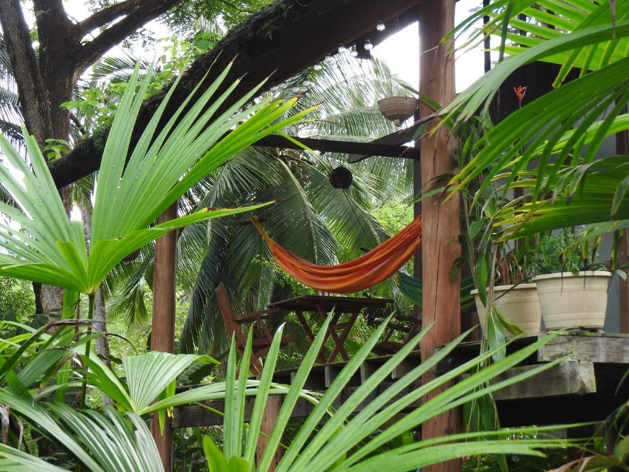 Jardin Botanico Del Pacifico Y Mecana Ecohotel Bahia Solano Buitenkant foto