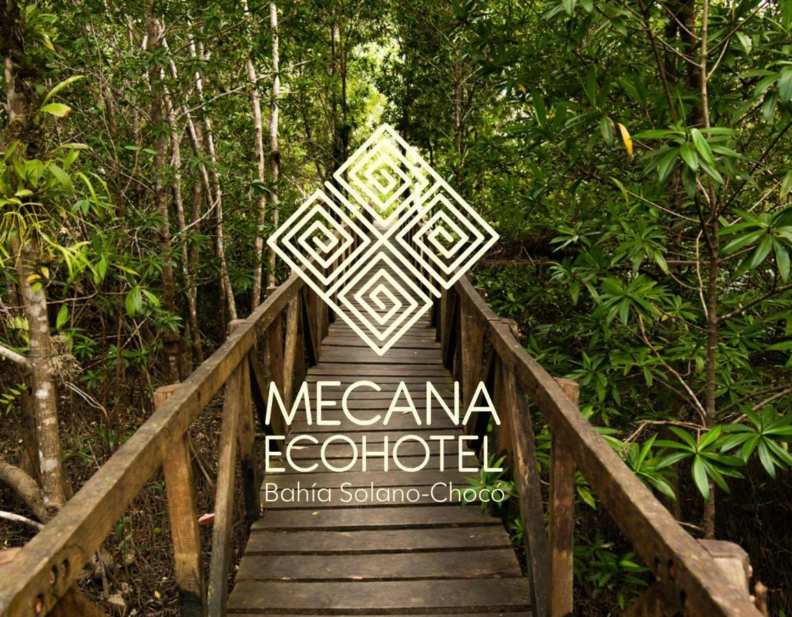 Jardin Botanico Del Pacifico Y Mecana Ecohotel Bahia Solano Buitenkant foto
